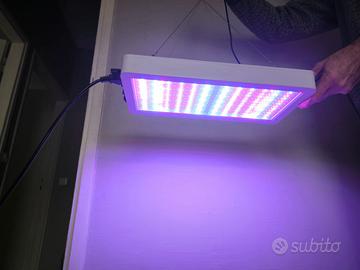 Luce led per piante