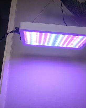 Luce led per piante
