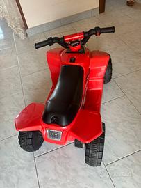 Quad elettrici