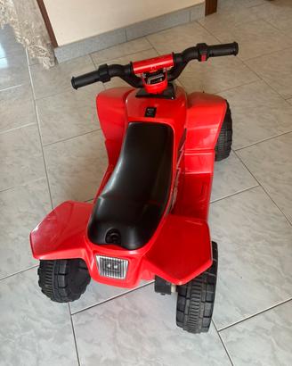 Quad elettrici