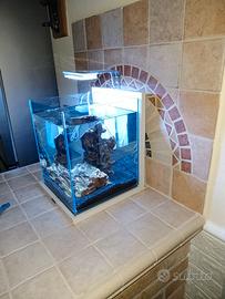 Acquario Zolux XL