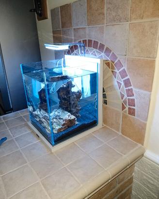 Acquario Zolux XL