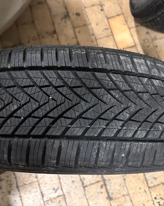 Gomme 225/55/18