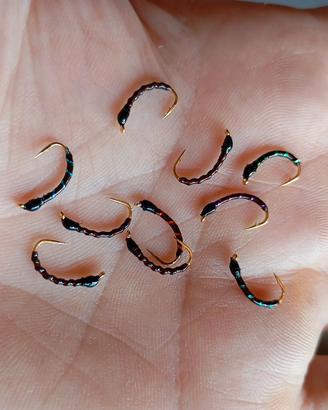 ami per pesca coregone