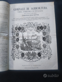 Giornale di agricoltura del regno d'Italia