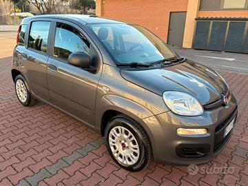 FIAT PANDA EASY 1.2cc IDONEA NEOPATENTATI