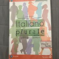 Italiano plurale grammatica e scrittura