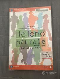 Italiano plurale grammatica e scrittura
