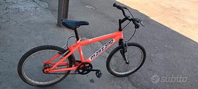 bicicletta 