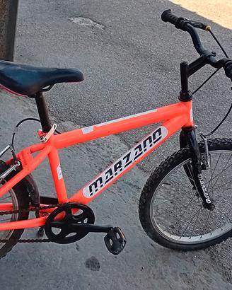 bicicletta 