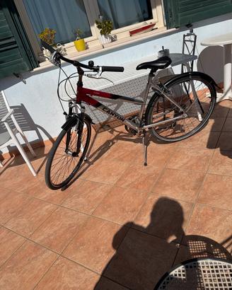Bicicletta femminile canyon