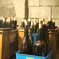 Bottiglie di vino vuote 