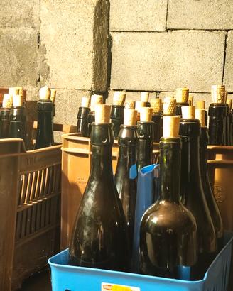 Bottiglie di vino vuote 