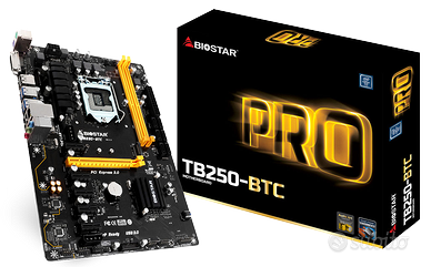 scheda madre biostar tb250-btc