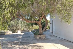 Villacidro - ricovero attrezzi con terreno