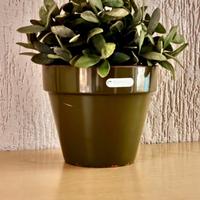 Ikea salvia artificiale+vaso