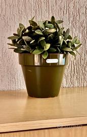 Ikea salvia artificiale+vaso