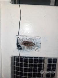 cancello seminuovo per porta 