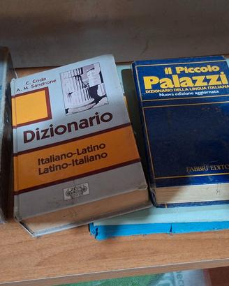 Dizionari Scolastici