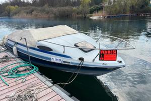 Bayliner