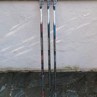 canne da pesca bolognesi Daiwa amorphous 