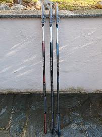 canne da pesca bolognesi Daiwa amorphous 