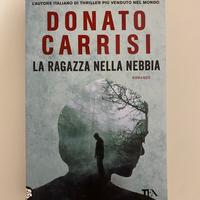 La ragazza nella nebbia
