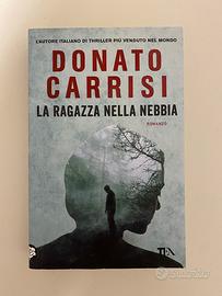 La ragazza nella nebbia