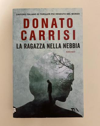 La ragazza nella nebbia