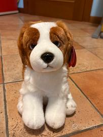 Cane peluche
