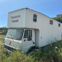 Trasporto cavalli fiat 90 NC