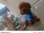 Immagine 2