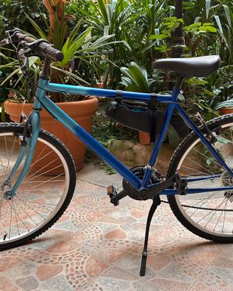 Bicicletta mountan bike
