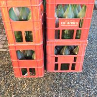 Bottiglioni e casse in plastica e ferro