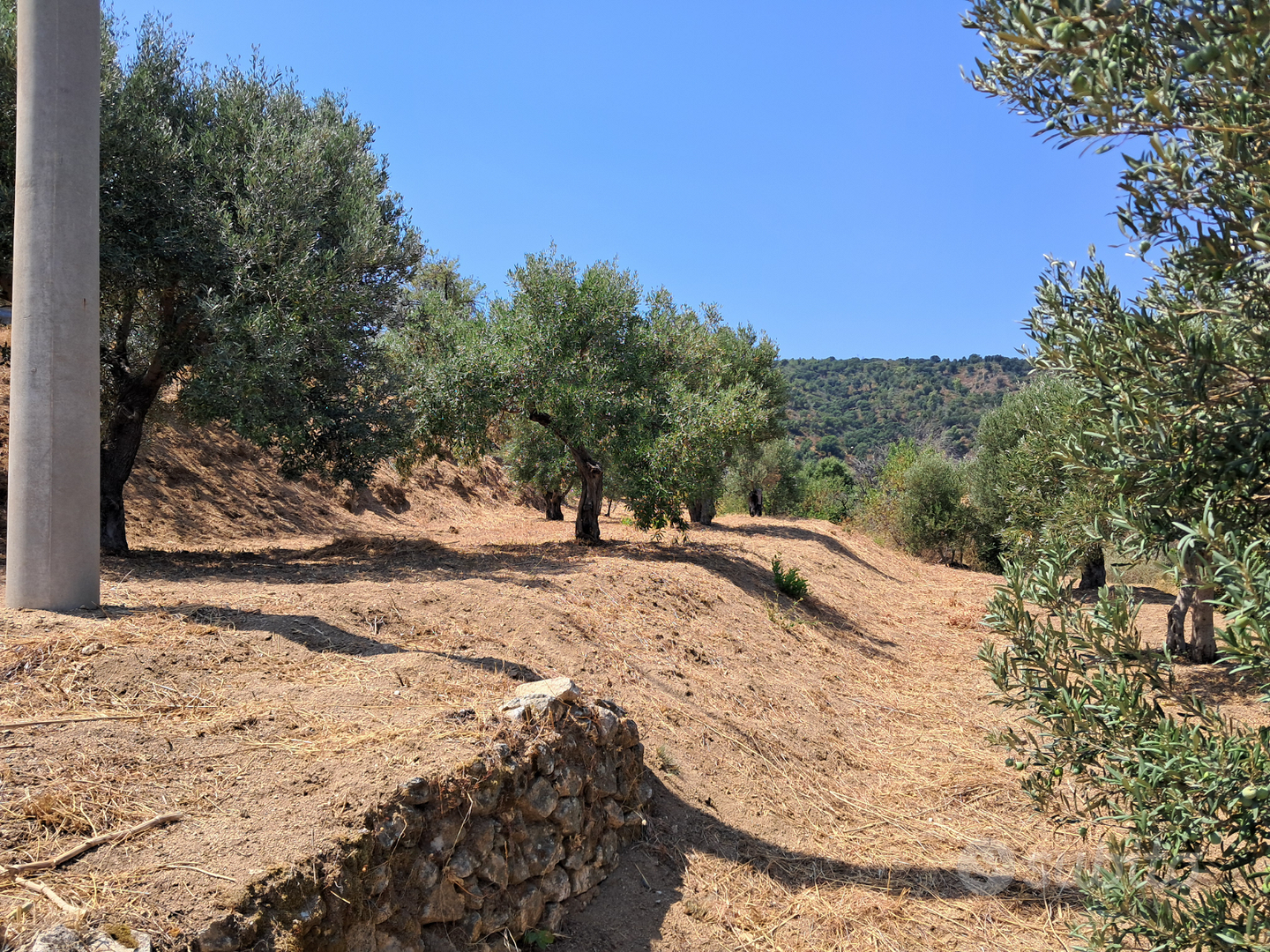 Casa ed appezzamento di terreno - Vista 5