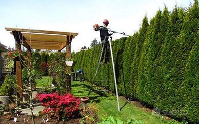 Cura giardino taglio erba e piante