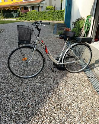 bicicletta donna 