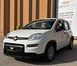 fiat-panda-1-0-69cv-neopatentati-2024