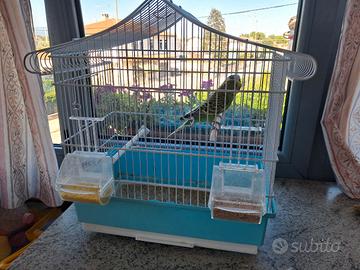 Gabbia per uccelli come nuova