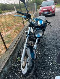 Suzuki SV 650 scrambler