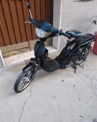 bici elettrica 