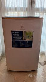 2 Condizionatori portatili Electrolux