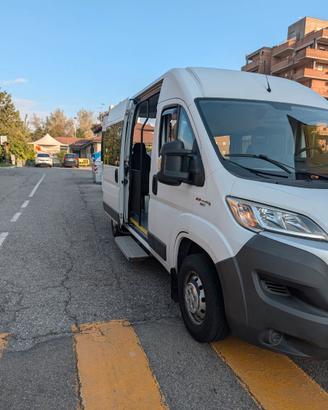 Fiat Ducato x disabili