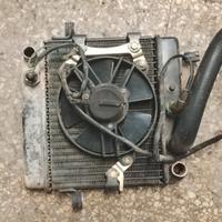 radiatore acqua Honda pantheon 125