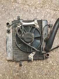 radiatore acqua Honda pantheon 125