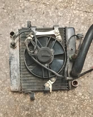 radiatore acqua Honda pantheon 125