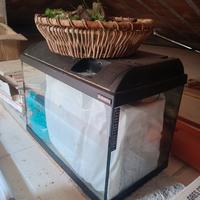 Acquario Askoll 60x34xH46