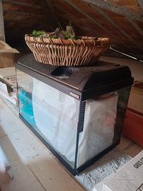 Acquario Askoll 60x34xH46
