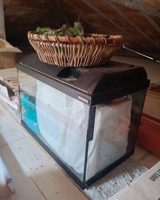 Acquario Askoll 60x34xH46