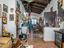 Immagine 14